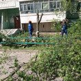 По результатам рассмотрения обращения жителей дома 46 по улице Гагарина и проведённого обследования специалистами экологического отдела,  работниками МАУ "Коммунальное управление" были осуществлены работы по удалению деревьев и ветвей