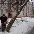 Спил аварийных деревьев на ул. Мира
