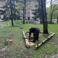 Произвели снос аварийных деревьев