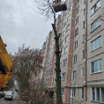 Спил аварийного дерева на ул. Калужской д. 3