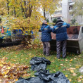 Время собирать и вывозить опавшие листья во дворах МКД.